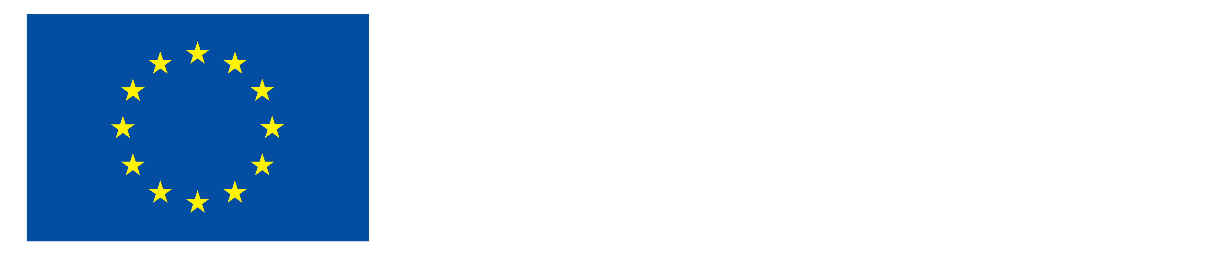 EN Co-Funded by the EU_NEG.png