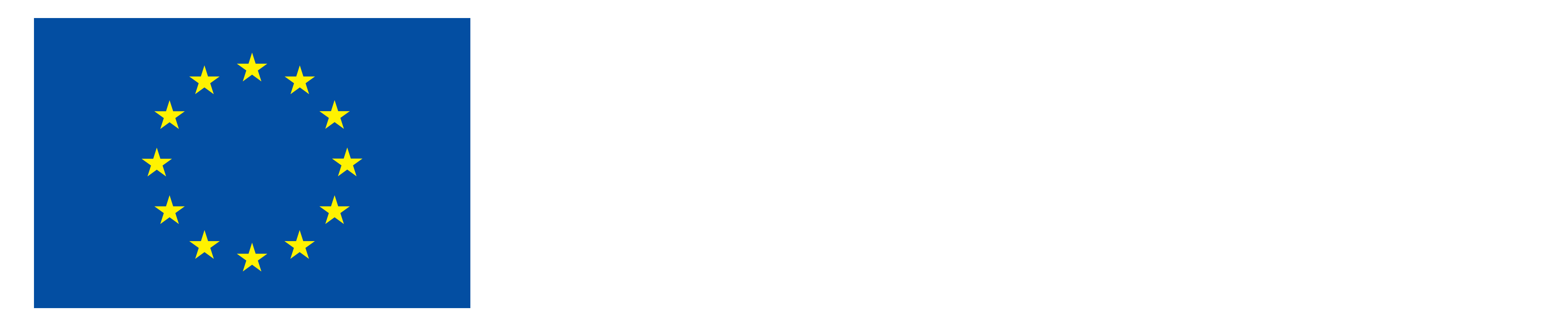 SL Sofinancira Evropska unija_NEG.png