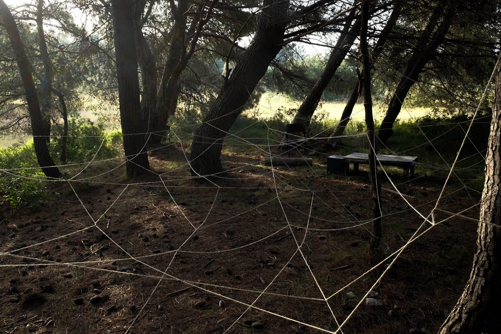 OTP.148.jpg OTP.148.jpg