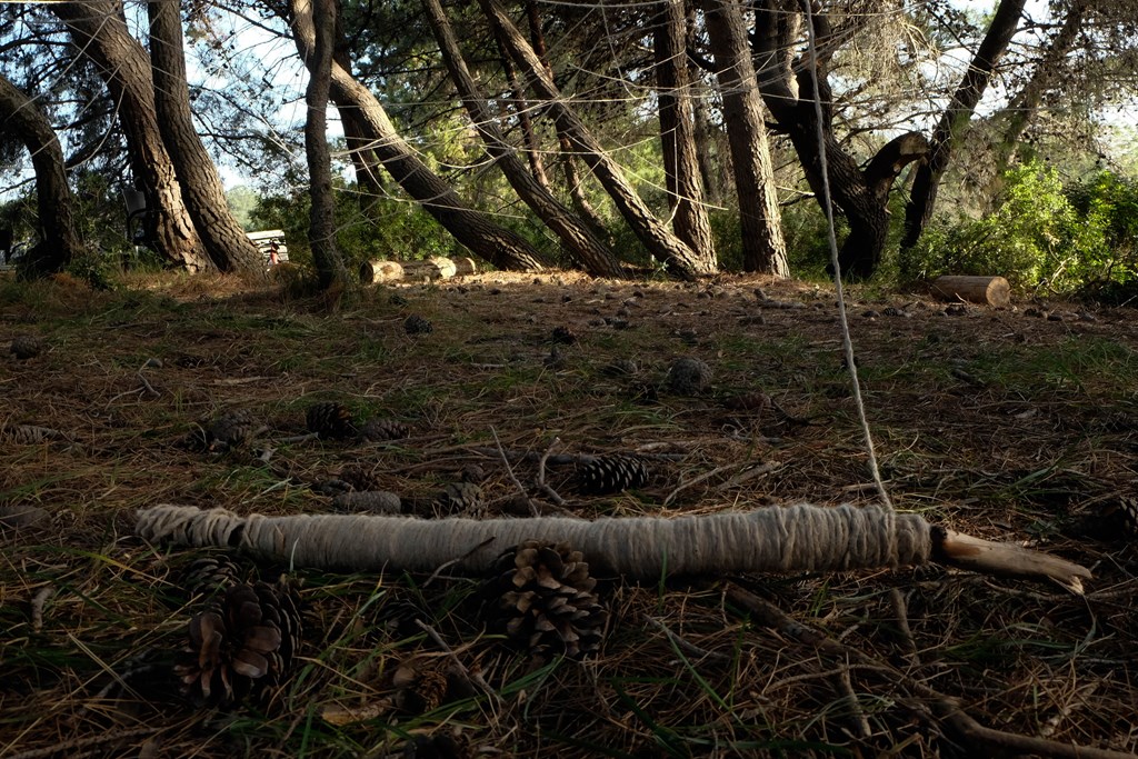 OTP.158.jpg OTP.158.jpg