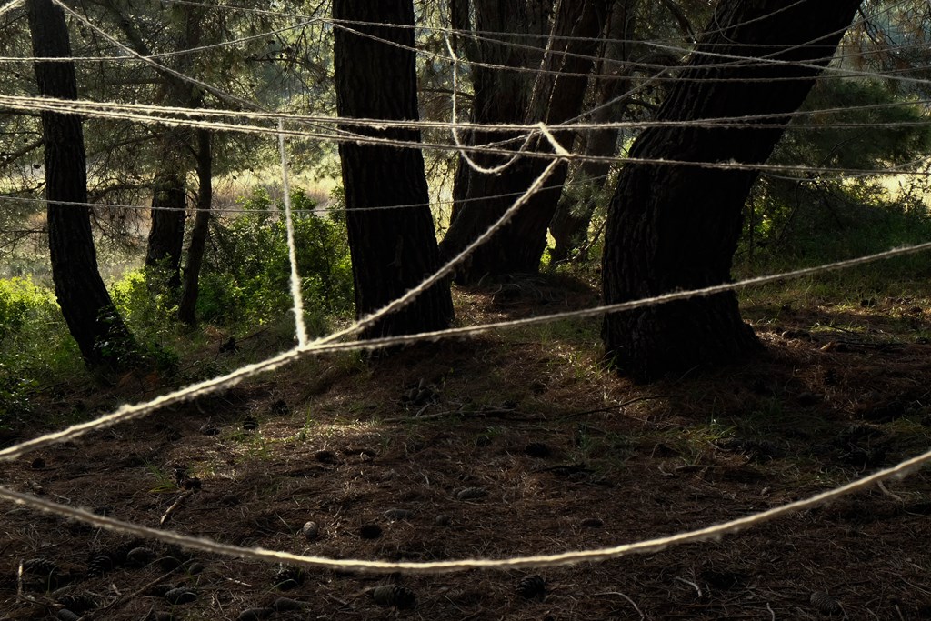 OTP.165.jpg OTP.165.jpg