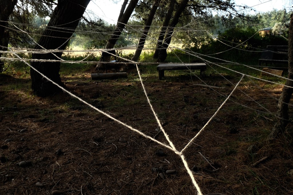 OTP.167.jpg OTP.167.jpg