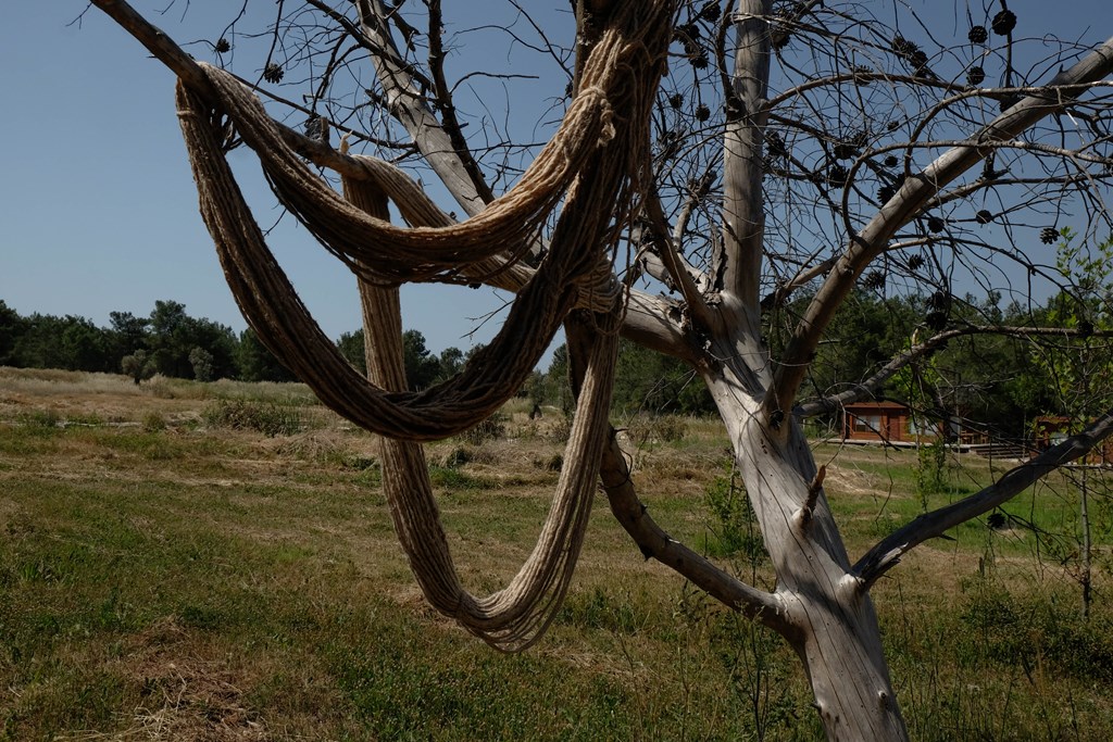 OTP.11.jpg OTP.11.jpg