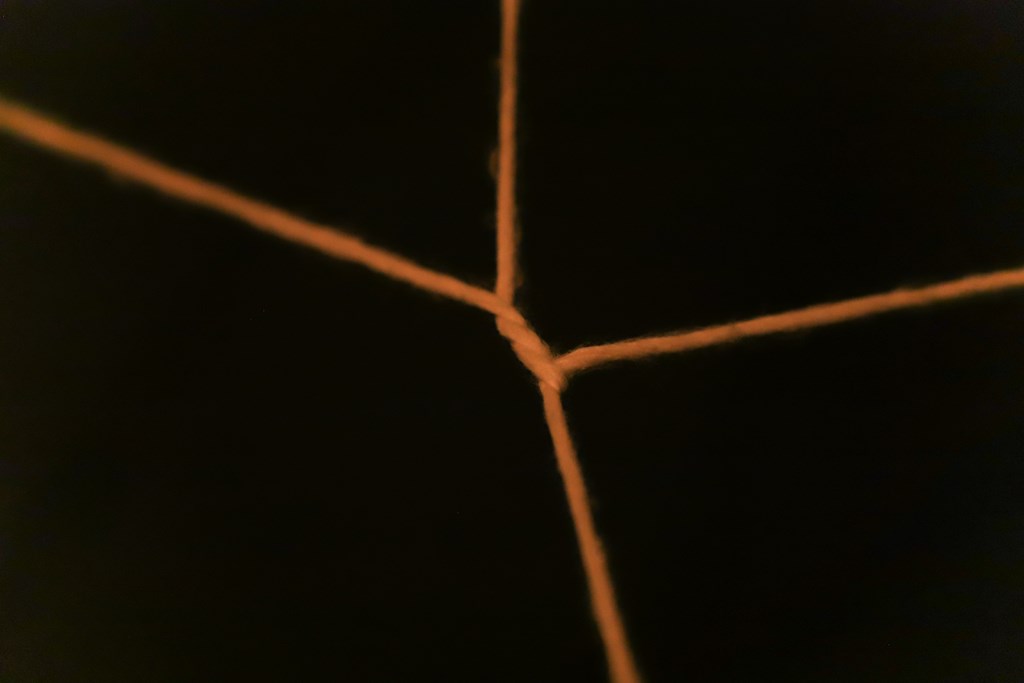 zupanov-GLEJ-LUČKA RUŽA TERY-152.jpg zupanov-GLEJ-LUČKA RUŽA TERY-152.jpg