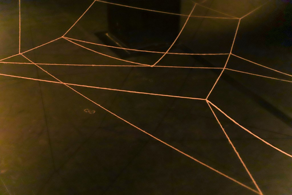 zupanov-GLEJ-LUČKA RUŽA TERY-149.jpg zupanov-GLEJ-LUČKA RUŽA TERY-149.jpg