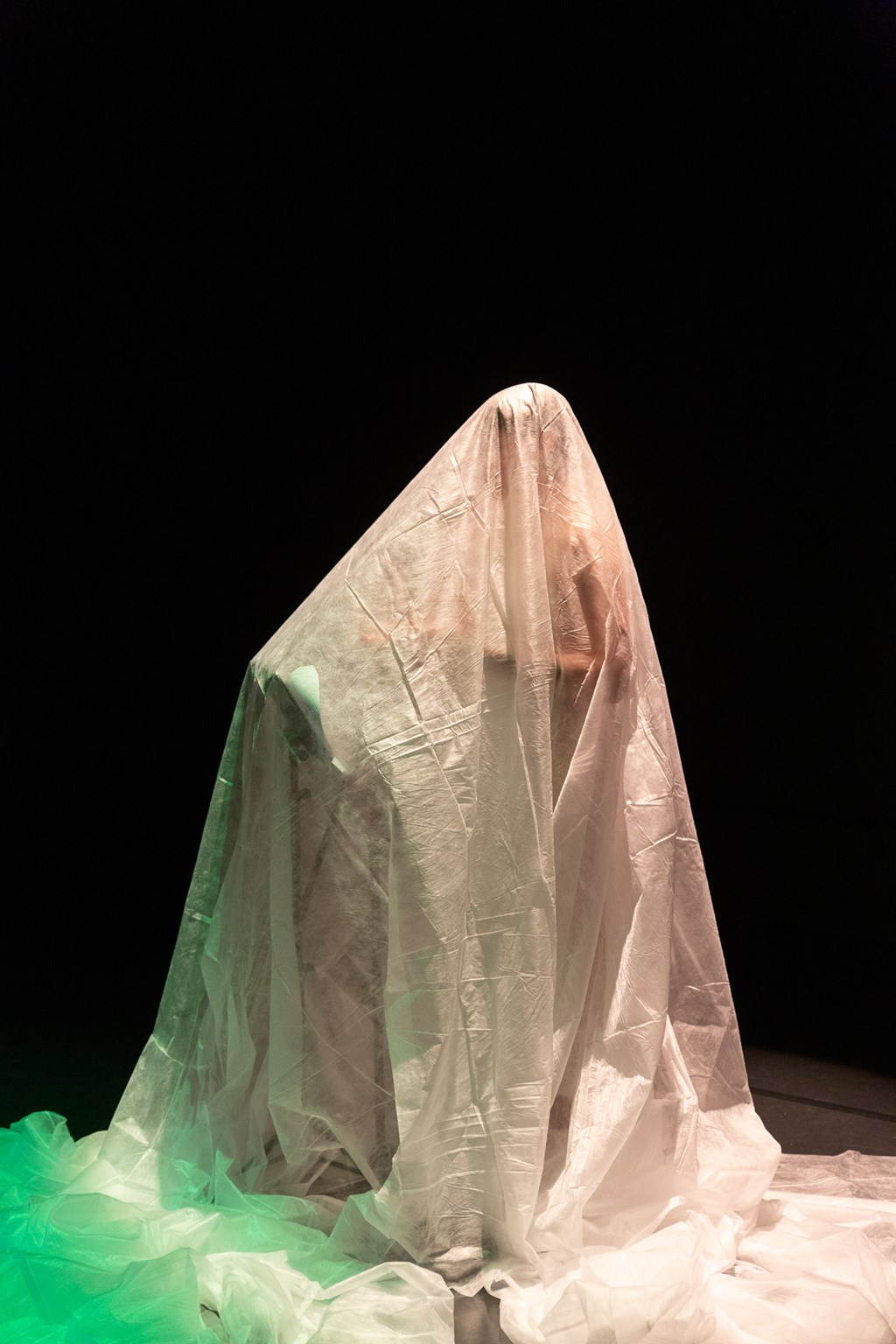 IMG_5516.jpg IMG_5516.jpg