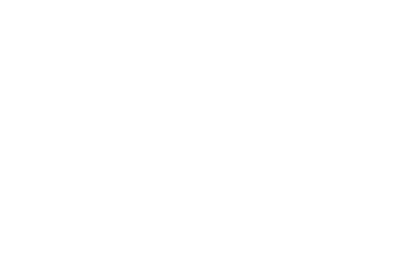 Logo_TL_25_SLO-negativ.png